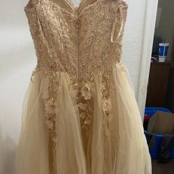Elegant Dress 