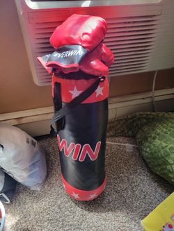 Kids Boxing Bag And Gloves 