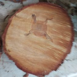 WOOD  SLICES!-..........