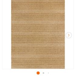 Home Depot Indoor Outdoor Rug 