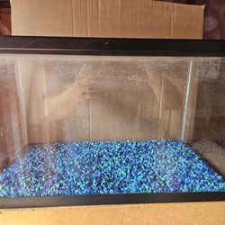 10 Gallon Tanks 