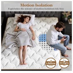 Firm Queen Mattress 14 Inch, Luxury Hotel Cooling Queen Size Hybrid Mattress in a Box, 7-Zones Individual Pocket Spring, Extra Hip/Shoulder/Lumbar Sup
