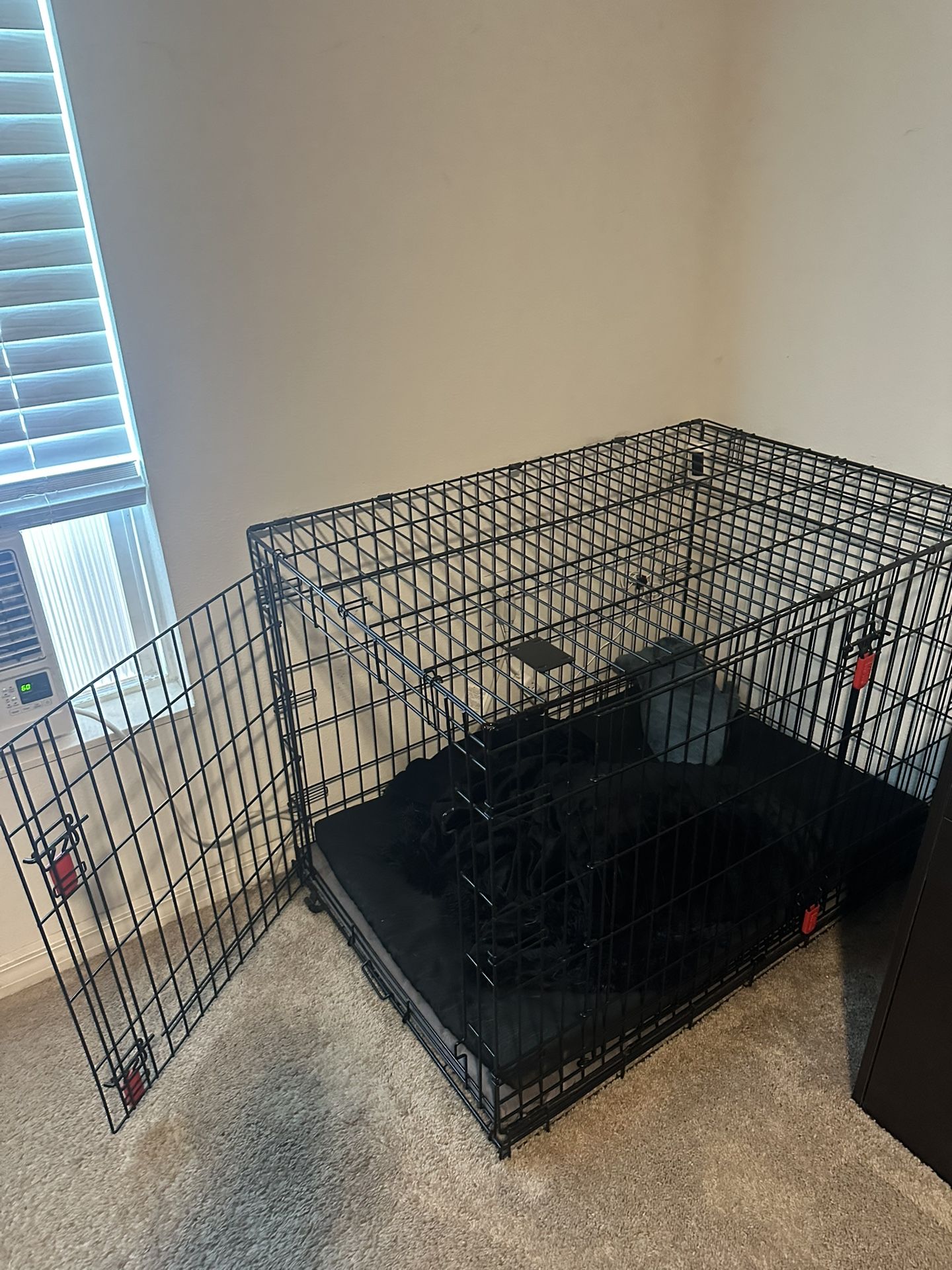 Kong Large Dog Crate
