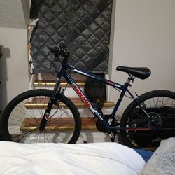 Dynacraft Manga Echo Ridge Mountain Bike 160(Or Best Offer)