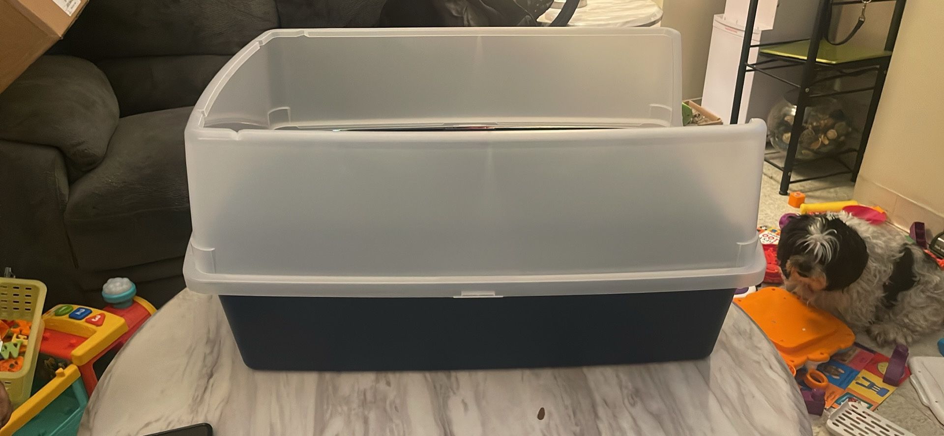 Cat Litter Box