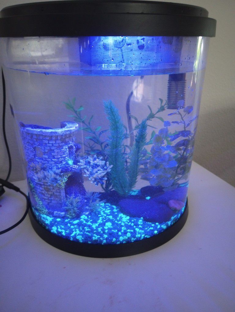 3.5 Gallon Fish Tank/Aquarium with Accessories 