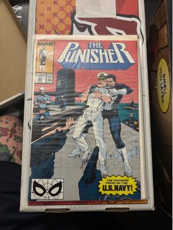 The Punisher 27
