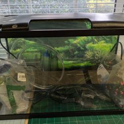 10 gallon Aquarium 