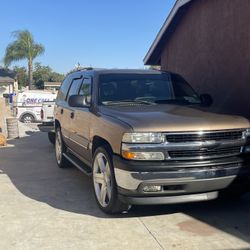 24 inch Texas Editions 