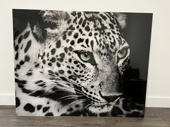 Wall Art - Acrylic artwork no frame W: 60" x H: 48"or W: 72" x H: 32"