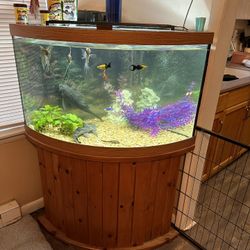 Aquarium  Corner Fish Tank