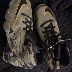 LeBron Nike Shoes