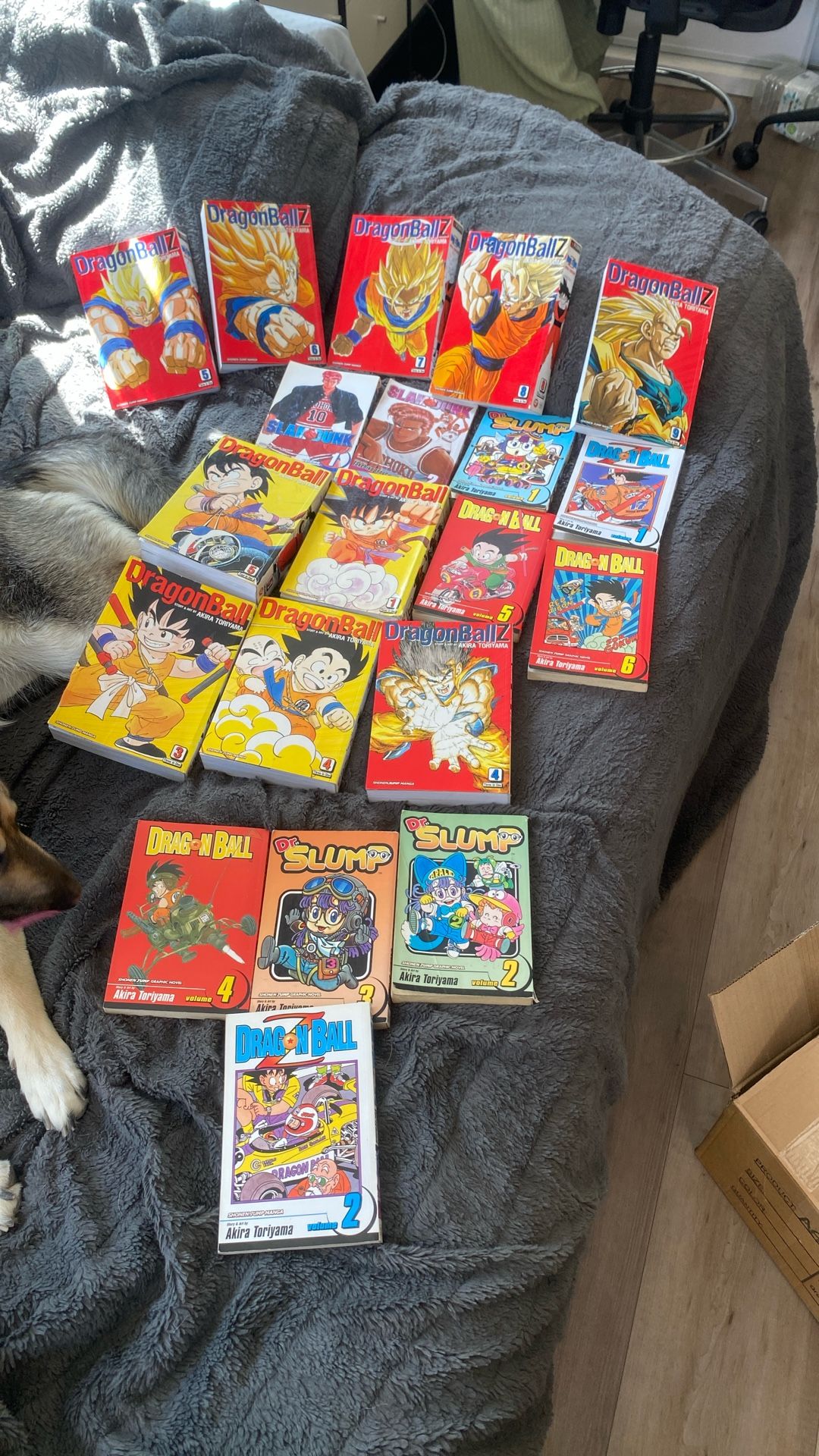Dragon Ball Z manga