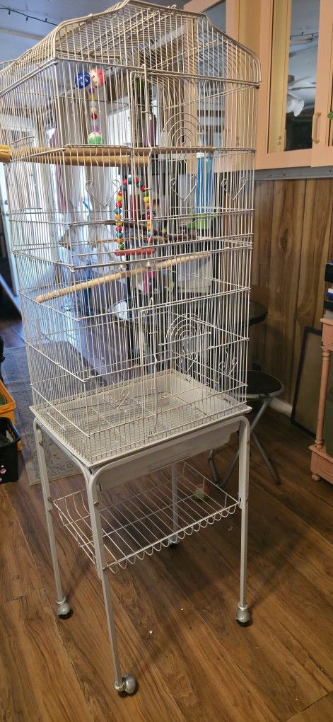 Bird Cage 