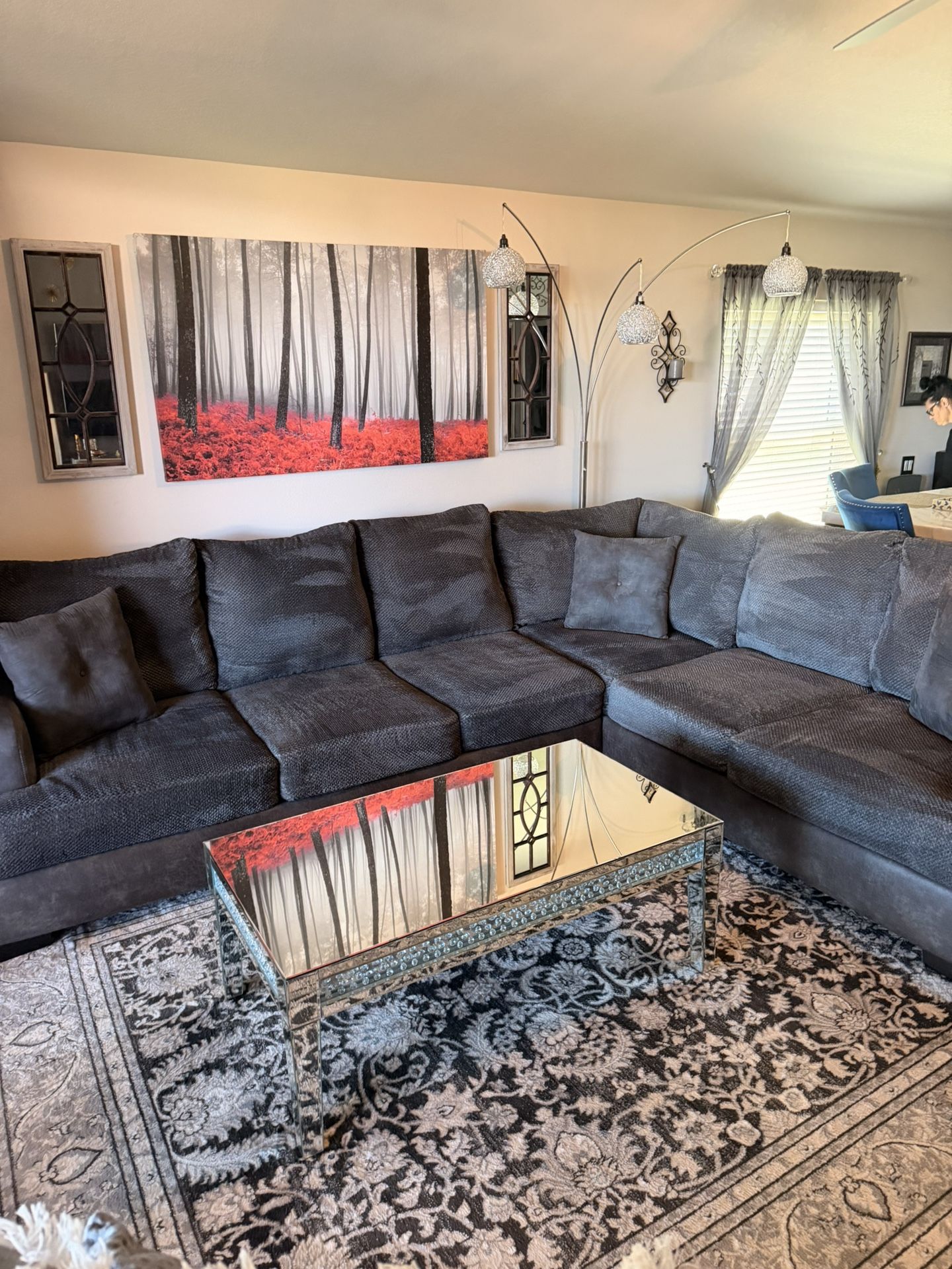 Sectional & Area Rug
