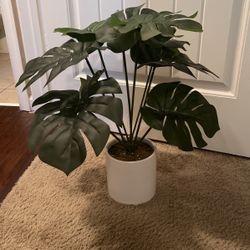 Beautiful Fake Indoor Plant 