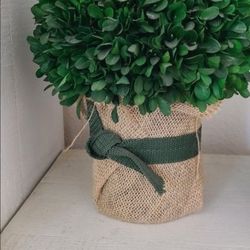 Plant Decor