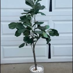 5’ tall Artificial Plant in Pot
