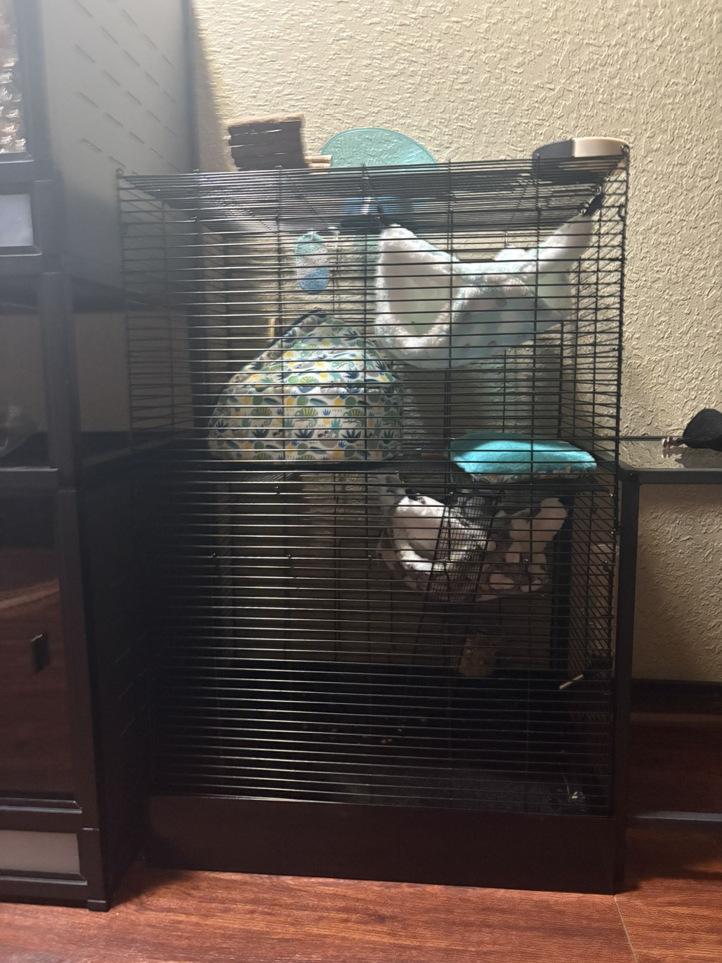 Rat Cage And Accessories 