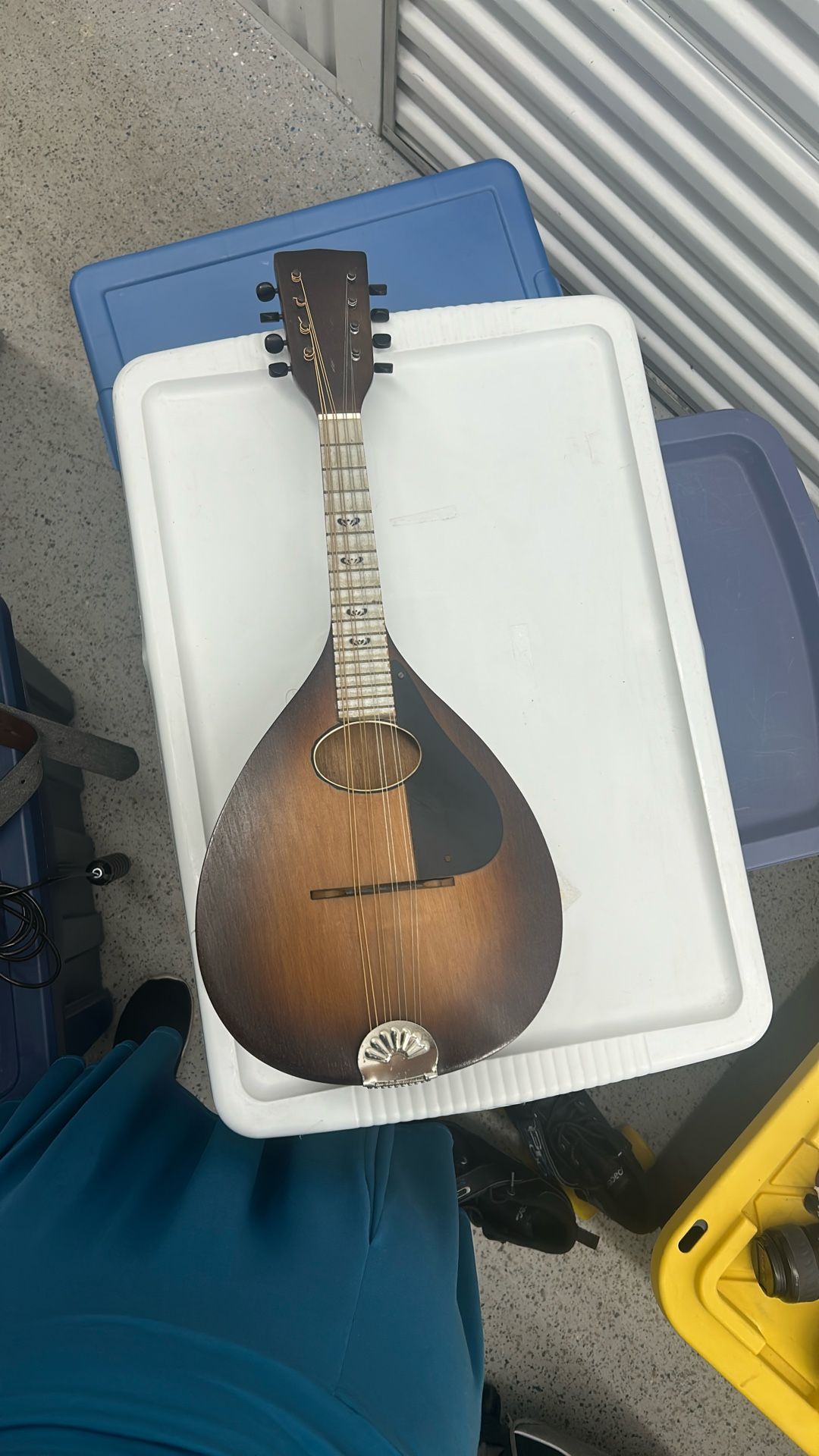 Mandolin
