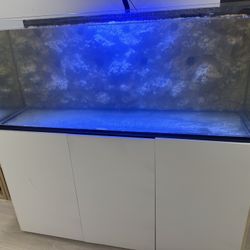Fish Tank /saltwater