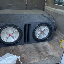 12 In Kickers 