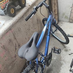 Adult Bicycle 
