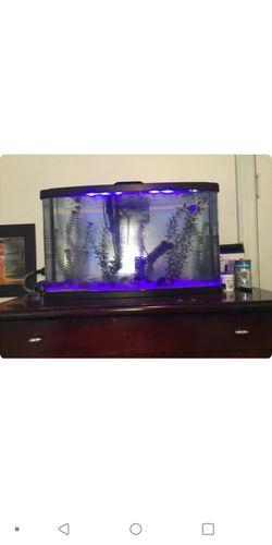 Beautiful fish tank lights and everything included