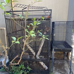 Bird Cages 