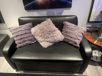 Twin Pullout Couch