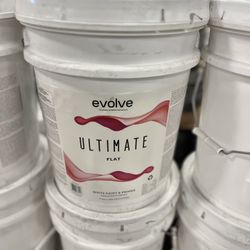 5 Gallon Flat White Paint Brand New U Need?