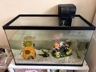 fresh water fish tank