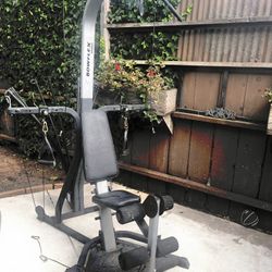 BowFlex Xceed Home Gym for Sale in Sn Jun Batsta CA OfferUp