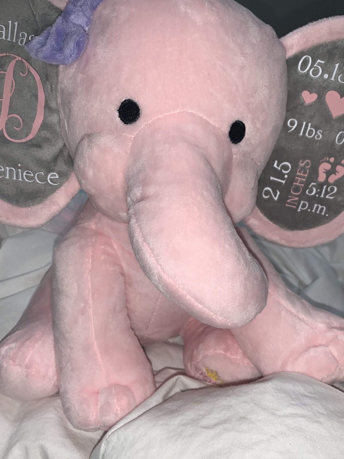 Custom Stuffed Animal