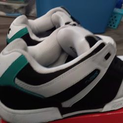 DVS Shoes