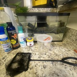 Small fish Tank