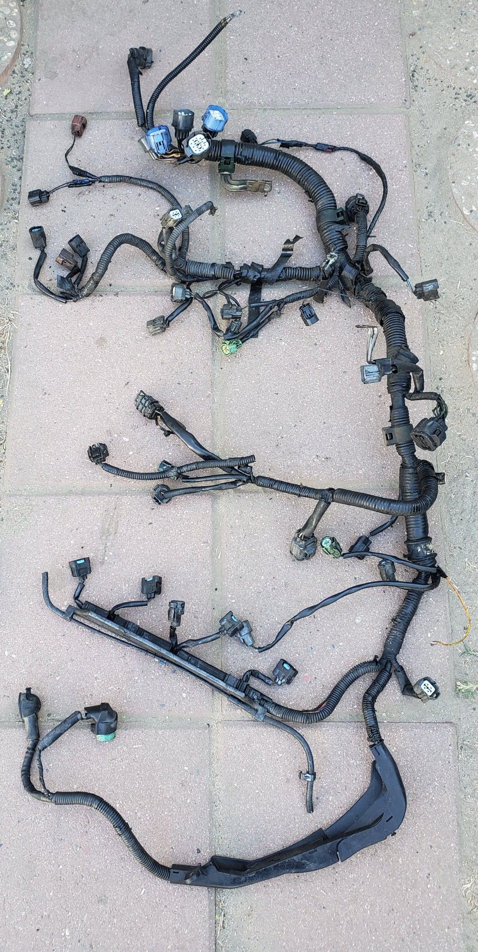 H22 engine wire harness for Sale in San Bernardino, CA OfferUp