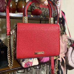 Aldo Tote 