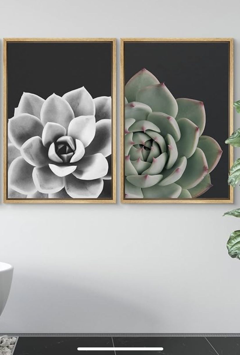 Succulents With Frame