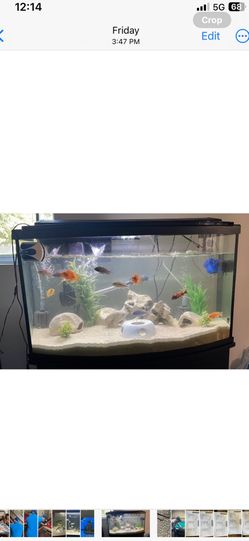 55 Gal Aquarium 