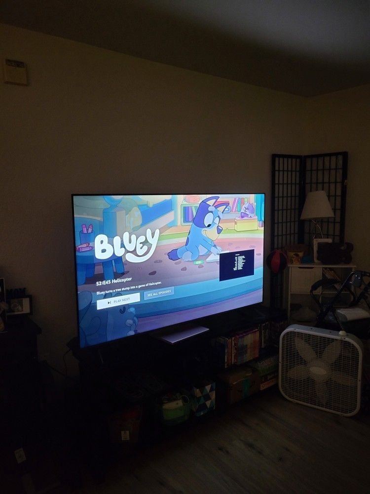 2023 TCL 65" Fire TV. 