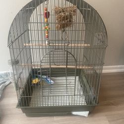 Bird Cages