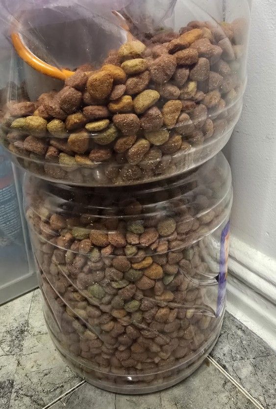 Free dog food Pedigre 