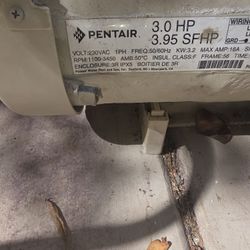 Pentair Pool Pump 3hp 