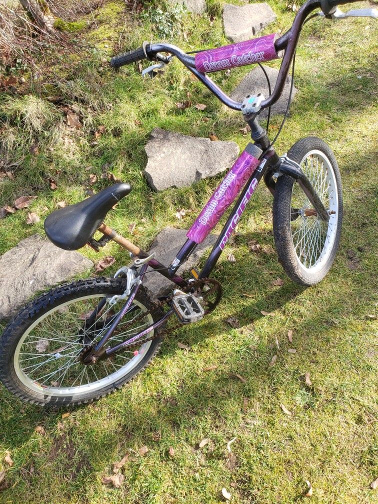 Catcher bmx frame top