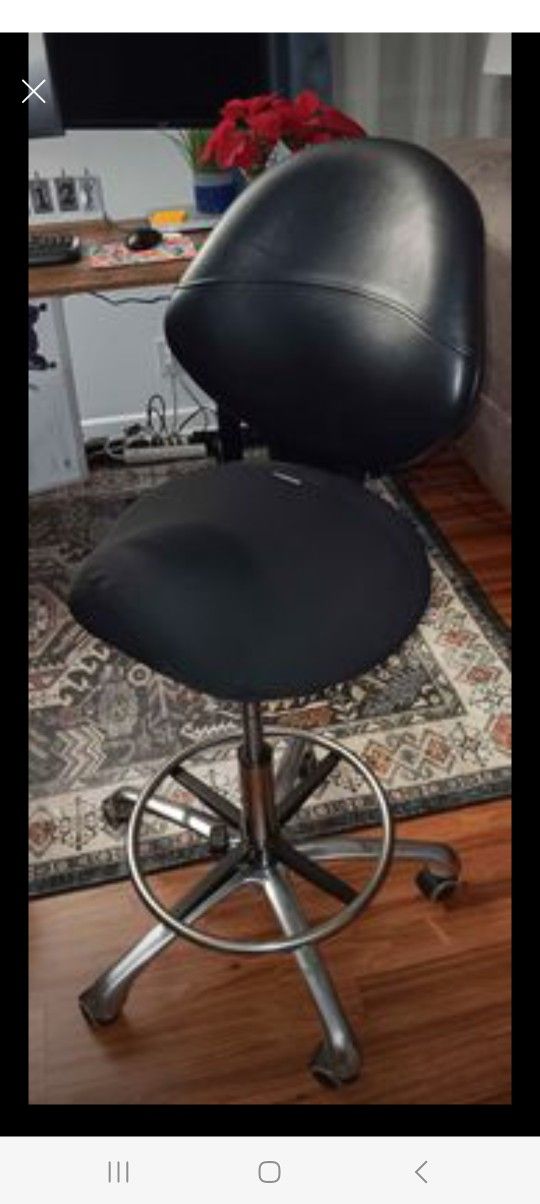 Saddle Stool with Back and Bonus Seat Cover