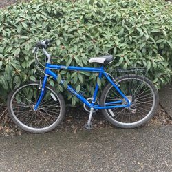 Giant Bike