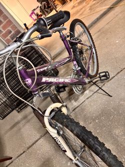 Pacific Traverse Kids Mountain Bike Purple