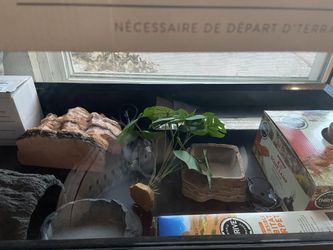 40 Gallon Reptile Terrarium