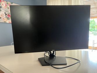 Dell 24 Inch Monitor